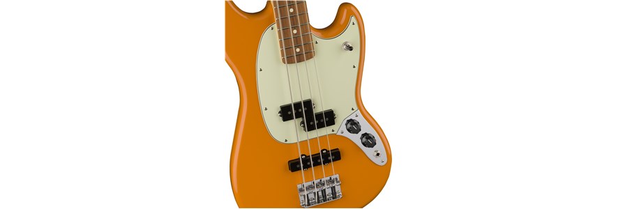 fender mustang bass pj chemical designs fingerboard