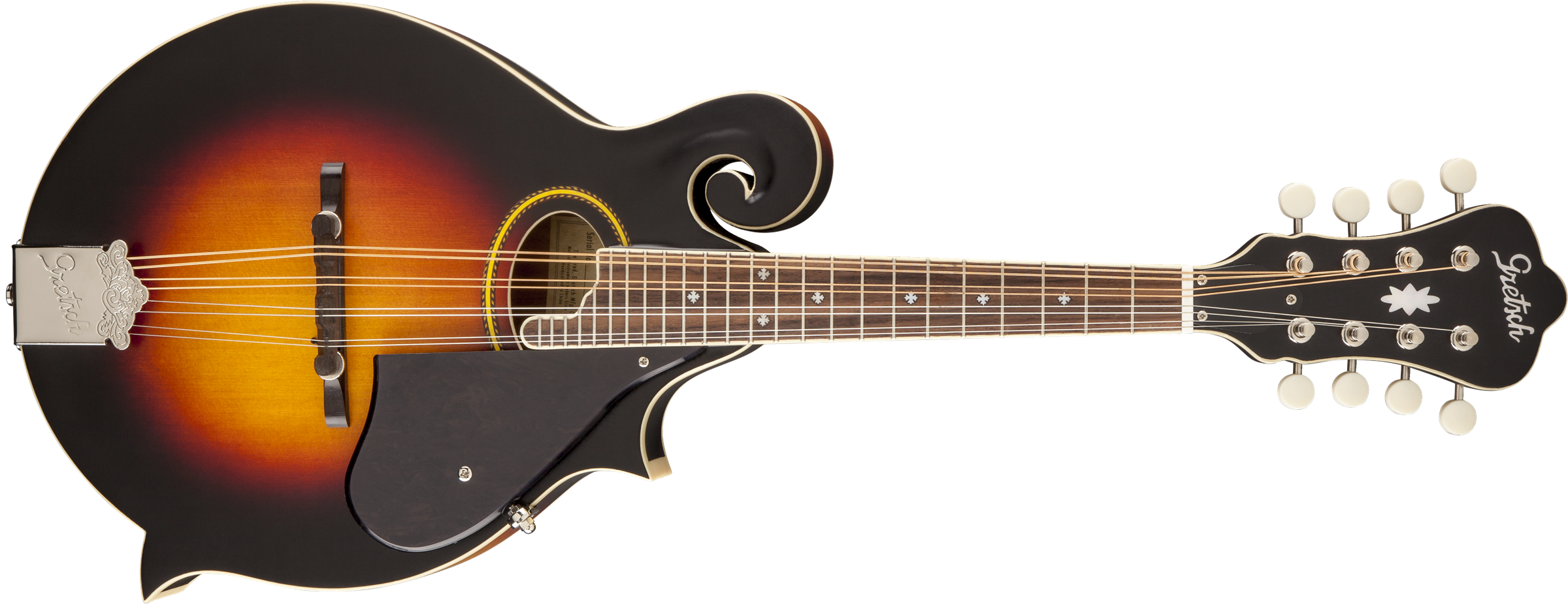 Acoustic electric, Mandolin, Guitar