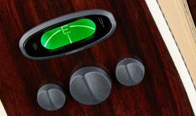 FENDER- AND FISHMAN-DESIGNED PM PREAMP