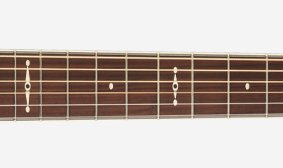 UNIQUE VINTAGE-STYLE FINGERBOARD INLAYS