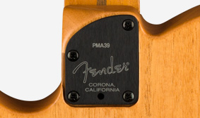 acoustasonic-tele-made-ca.jpg