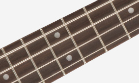 PEARLOID DOT INLAYS