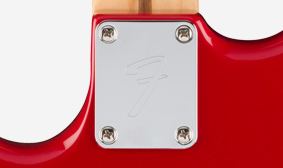 ENGRAVED NECK PLATE