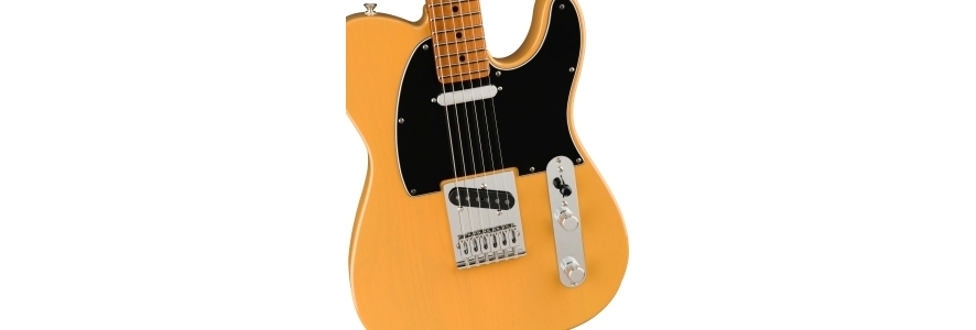 fender player telecaster roasted maple neck