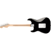 Fender Eric Clapton Stratocaster, Maple Fingerboard, Black - 0117602806