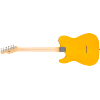 Fender Standard Telecaster, Maple Fingerboard, Black Pickguard, Butterscotch Blonde - 0266021550