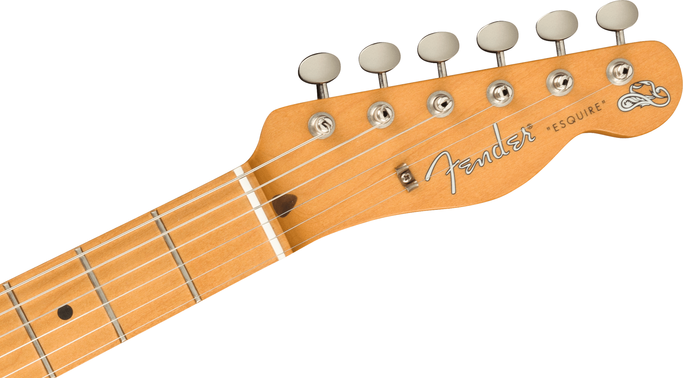Battipenna Originale Fender Anni '50 Per Esquire/Tele &ndash; 1 Strato, Bianco, 5 Fori