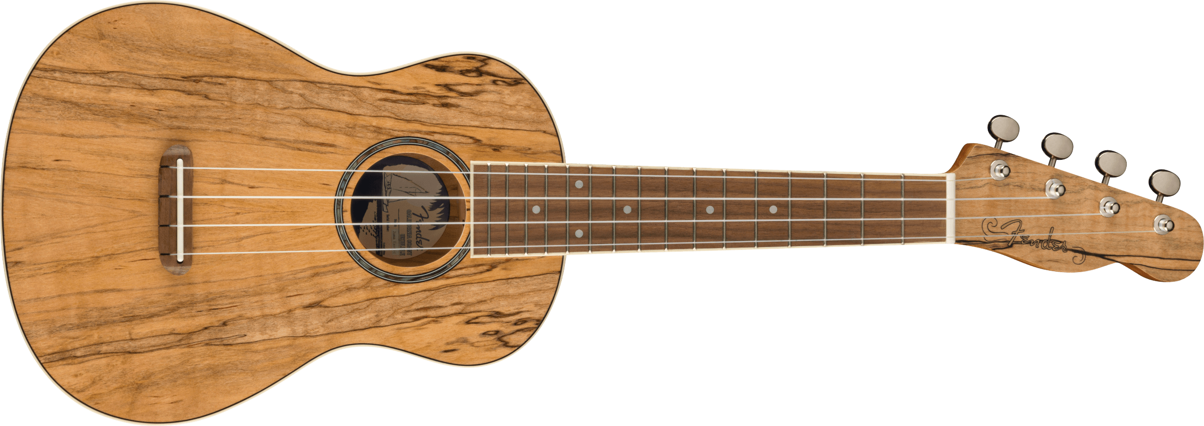 FENDER Zuma Exotic Concert Ukulele, Walnut Fingerboard, Spalted Maple - 0970450594