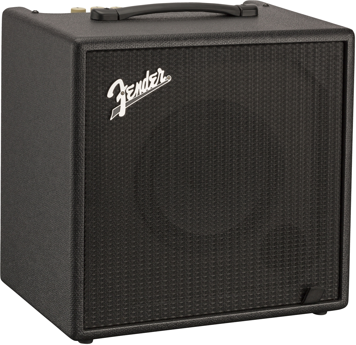 Rumble™ LT25 Bass Amplifiers