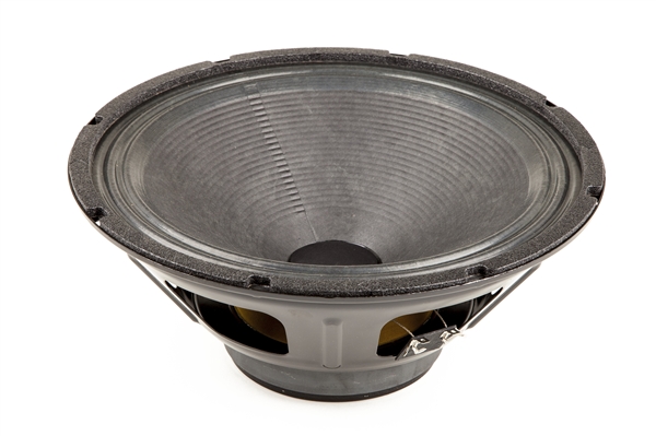 fender special design speaker 12