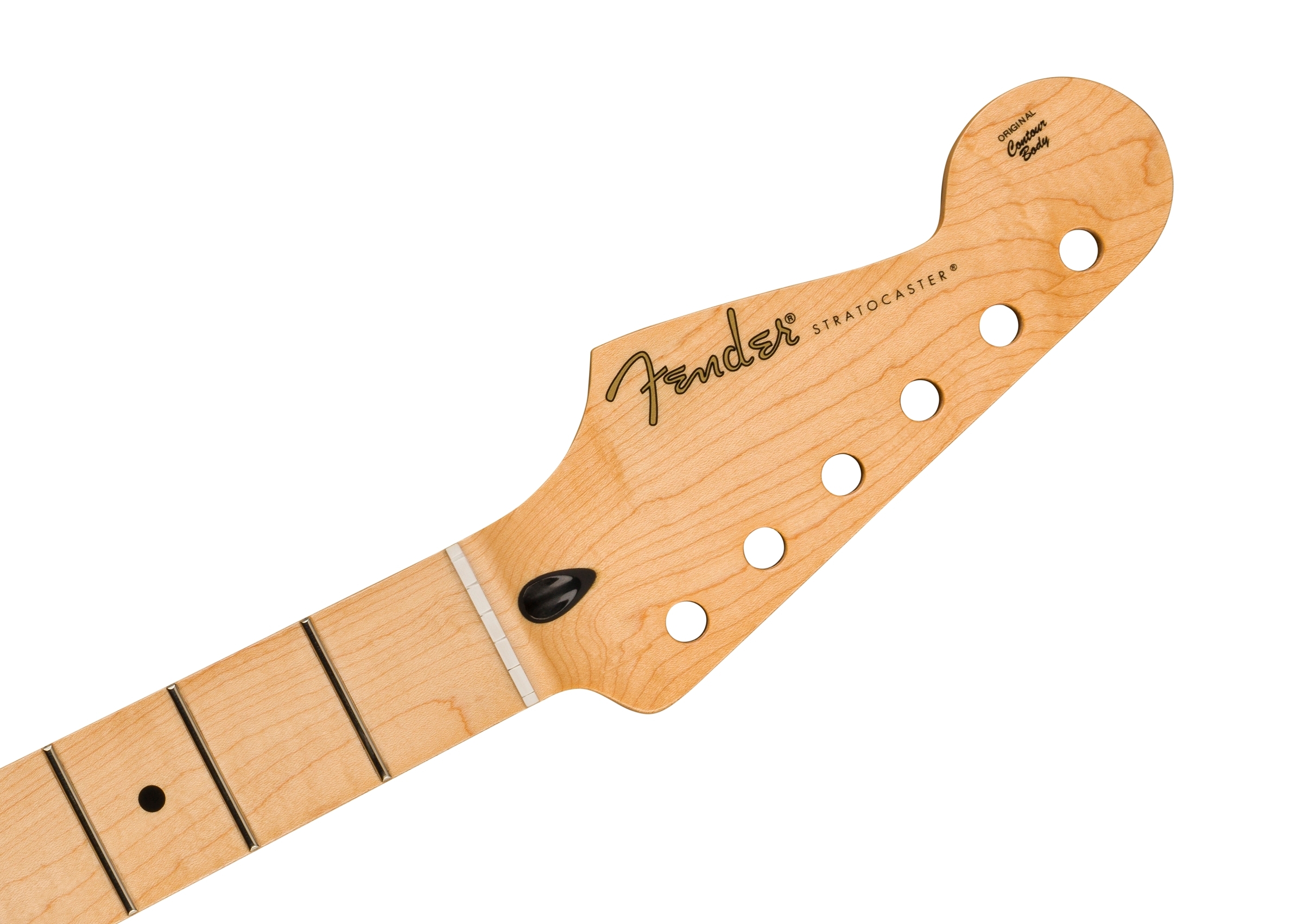 stratocaster reverse