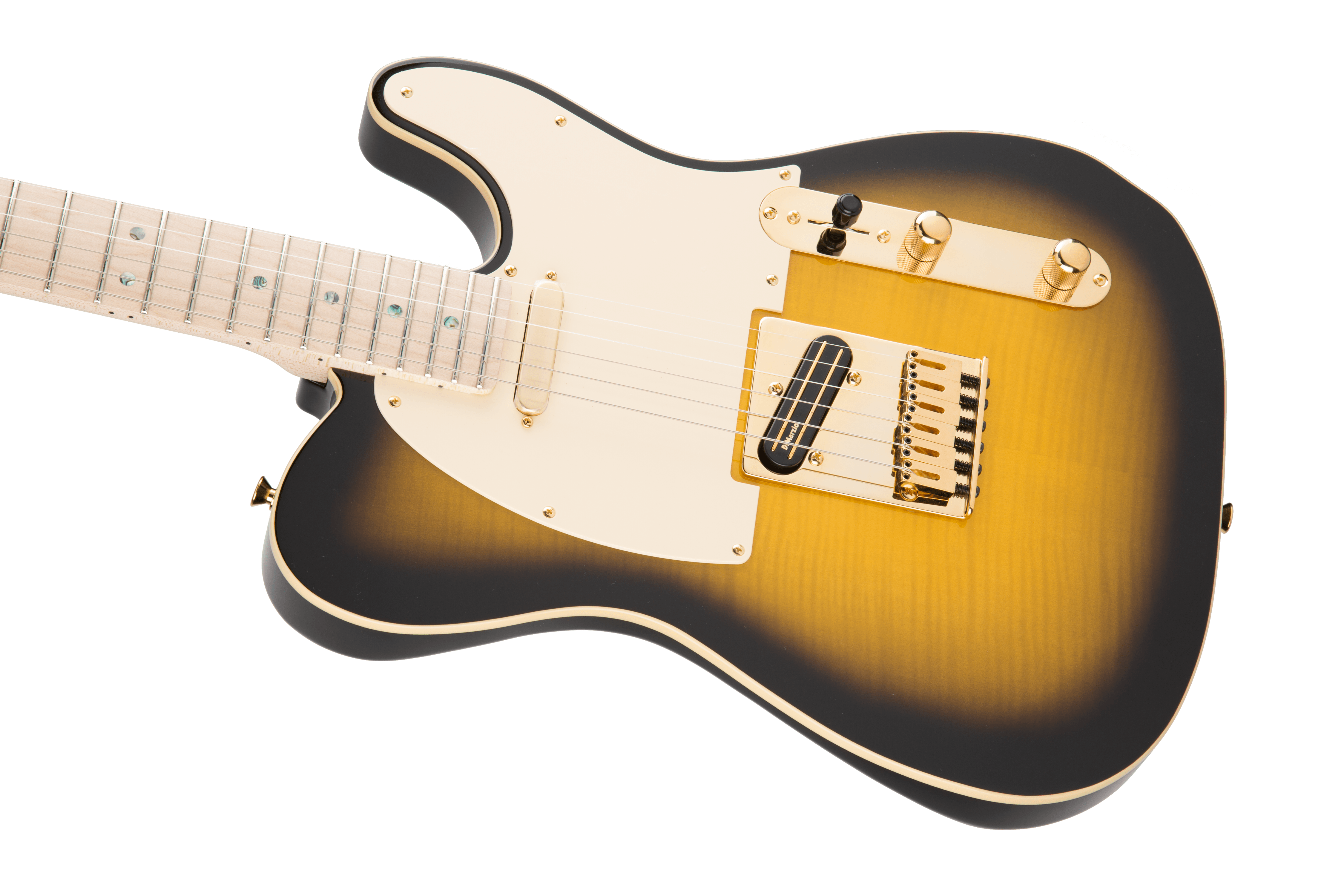 Fender Richie Kotzen Telecaster Electric Guitar (Maple