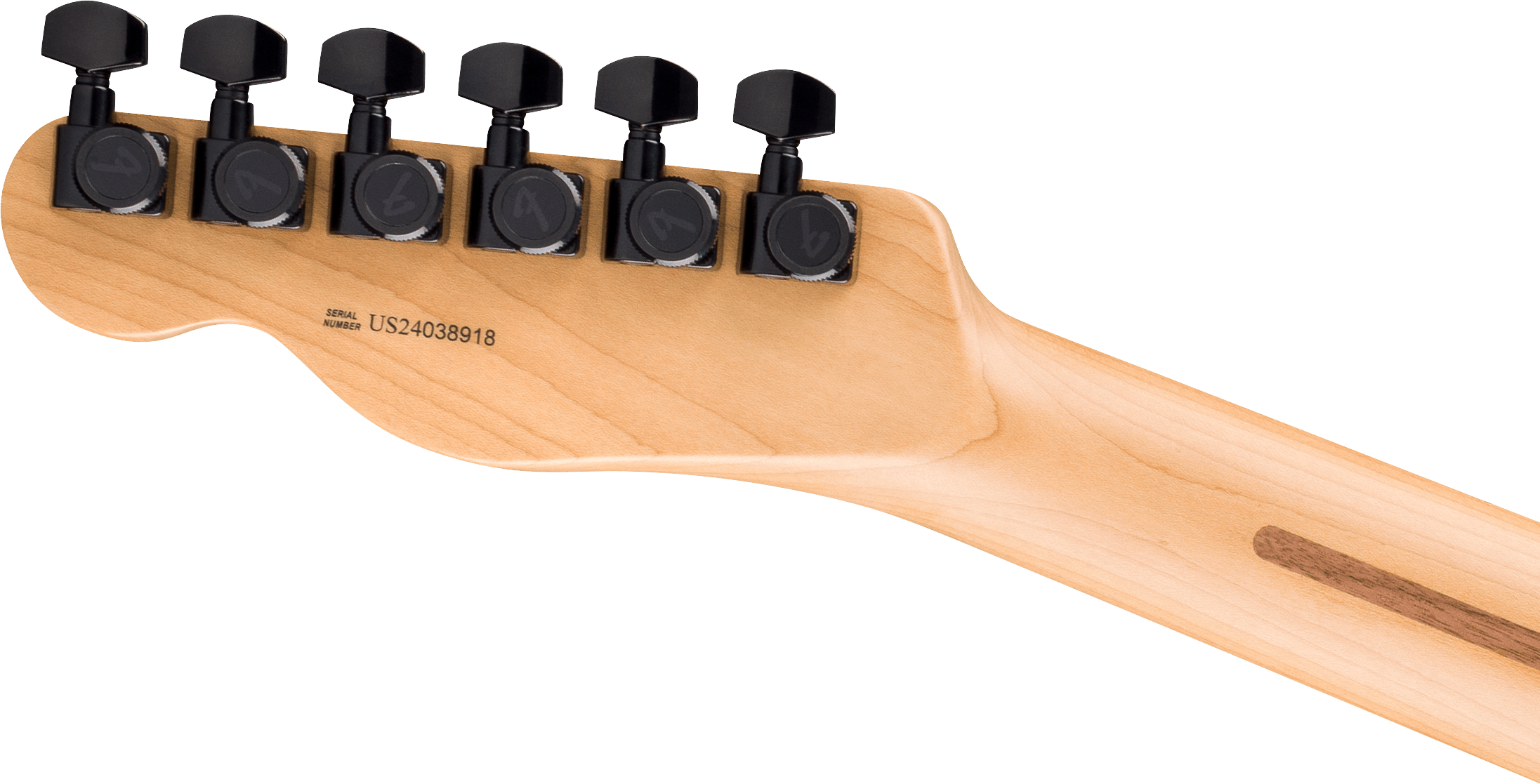 Limited Edition American Professional II Telecaster® HH – Fender