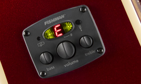 Fishman Preamp and Tuner