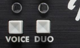 Fender Duo