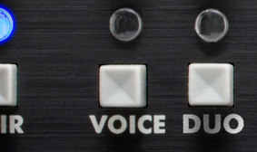 Voice Button
