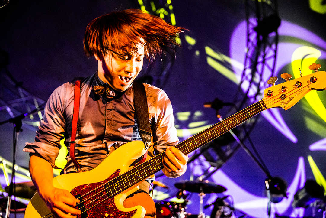 go!go! vanillas Fender