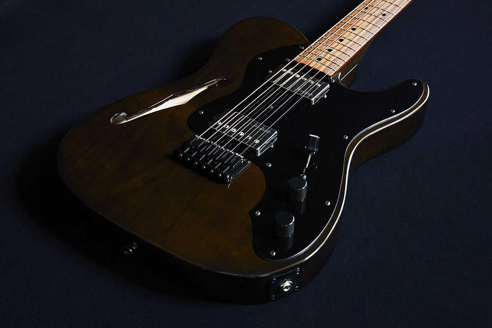 Fender Telecaster Thinline 